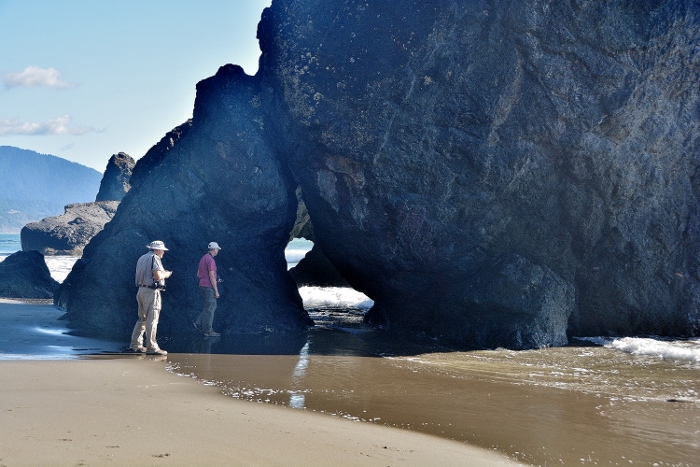 rock formation with arch